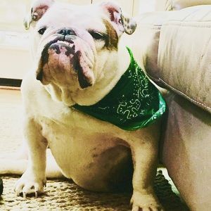 Meet your Posher, Mel